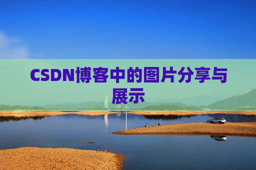 CSDN博客中的图片分享与展示